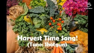 Harvest Time Song Tune ShotgunGeorge Ezra Harvest Celebration  Rhona Alcorn [upl. by Atinehs]