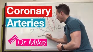 Coronary Arteries  Cardiology [upl. by Vala]