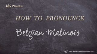 How to Pronounce Belgian Malinois Real Life Examples [upl. by Velma]