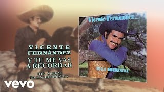 Vicente Fernández  Y Tu Me Vas a Recordar Cover Audio [upl. by Merrile]