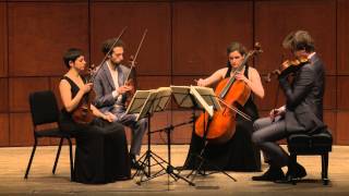 Beethoven String Quartet Op 132 in A Minor  Ariel Quartet full [upl. by Saucy]