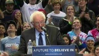 Bird lands on Sanders podium during Portland rally [upl. by Annairdna]