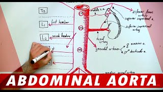 Neurology  Trochlear Nerve Cranial Nerve IV [upl. by Kerred633]