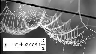 Hyperbolic Functions Catenary Example 2 Graphing Catenaries [upl. by Lamahj]