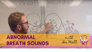 Abnormal Breath Sounds  Respiratory System [upl. by Ntsud]