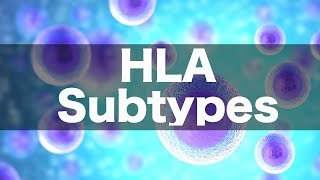 HLA Subtypes amp Associations [upl. by Teodora899]