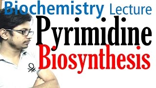 Pyrimidine biosynthesis [upl. by January]