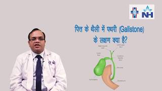 How To Gallbladder Ultrasound Part 1  Introduction Case Study Video [upl. by Naginnarb]