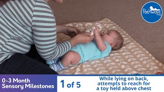 03 Month Old Sensory Milestones [upl. by Valdemar]