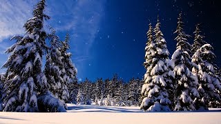 Christmas music Christmas instrumental Music quotLet It Snowquot by Tim Janis [upl. by Asuncion618]