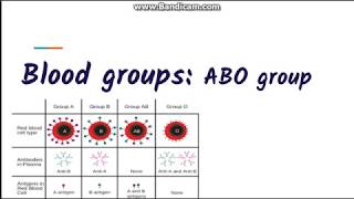 Blood grouping  ABO blood group system [upl. by Aldredge598]