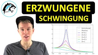 Erzwungene Schwingungen mit Resonanz  Physik Tutorial [upl. by Mojgan]