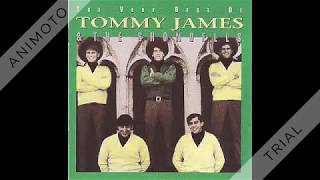 Tommy James amp The Shondells  Mirage  1967 [upl. by Adnawak]