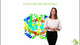 Structure des protéines [upl. by Pubilis]