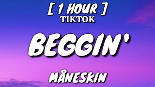 Måneskin  Beggin Lyrics 1 Hour Loop TikTok Song [upl. by Eleanore]