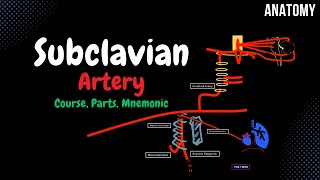 Subclavian Artery  Branches Mnemonics [upl. by Lareine]