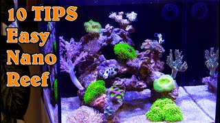 Top 10 TIPS for an EASY amp Successful Nano Reef Tank [upl. by Ahsiemac336]