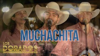 Los Dorados  Muchachita En Vivo [upl. by Maitilde]