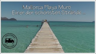 Playa Muro  traumhafter Strand  Mallorca Tipp 2 [upl. by Bendite]