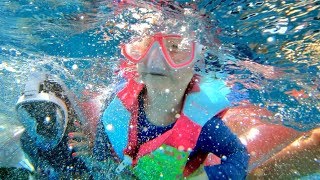 ADLEY SWIMS WITH FISH Family Snorkel Routine in Hawaii  she is a pretend mermaid [upl. by Benoit]