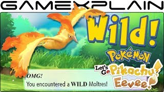 How to Catch Wild LEGENDARY Pokémon in Lets Go Pikachu amp Eevee Articuno Zapdos amp Moltres Guide [upl. by Nev]