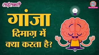 Ganja उर्फ Marijuana Legal होने से किस बात का डर है  Sciencekaari [upl. by Anide237]