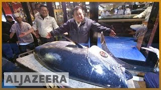 🇯🇵 Japans sushi king pays record price for bluefin tuna l Al Jazeera English [upl. by Ramso670]