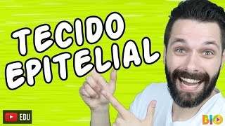 TECIDO EPITELIAL  HISTOLOGIA  Aula  Biologia com Samuel Cunha [upl. by Mcallister167]