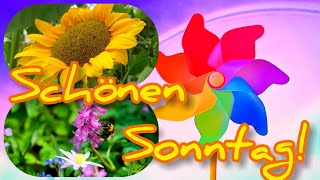 Hallo🤗 Ich wünsche Dir einen wunderschönen und erholsamen Sonntag🌹☀️ Sonnige Sonntagsgrüße für Dich💟 [upl. by Inek703]