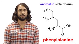 Amino Acids [upl. by Eeralih]