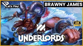 🐦 Let´s Play Dota Underlords Top Meta Brawnies [upl. by Arondell]