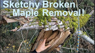 Sketchy Broken Maple Removal [upl. by Narret253]