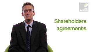 Shareholders agreements  In a nutshell [upl. by Else]