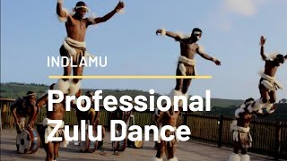 Professional Zulu Dance [upl. by Ikceb]