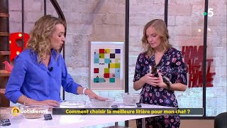 Comment choisir la meilleure litière pour son chat [upl. by Genesia]