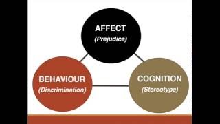 Prejudice Stereotypes amp Discrimination 1 of 2 [upl. by Blockus]