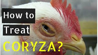 How to Treat Coryza [upl. by Neelram]