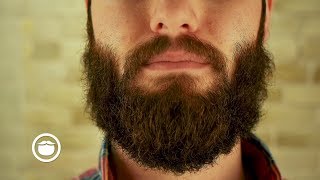 What to Do About Mustache Gaps  YEARD WEEK 12 [upl. by Ehman]