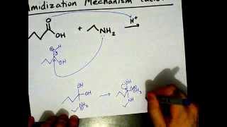 How to Make Amides Mechanism [upl. by Nylecsoj]