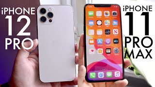 iPhone 12 Pro Vs iPhone 11 Pro Max Comparison Review [upl. by Weywadt]