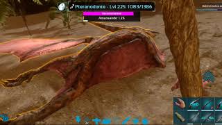 Tutorial Como Tamear Un Pteranodon  Facil y Rapida  ARK Survival Evolved Mobile  Obelisko64 [upl. by Haveman776]