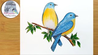 How to draw Eastern Bluebirds step by step [upl. by Bloomer210]