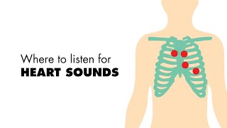 Where to listen for Heart Sounds Auscultory Areas  MEDZCOOL [upl. by Alul851]