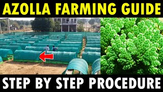 Azolla Farming  Azolla Cultivation  How to grow Azolla in HDPE Pond [upl. by Razaile]