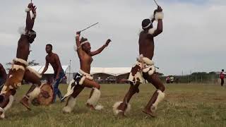 Zulu Dance Championships  Ulundi [upl. by Nesta]