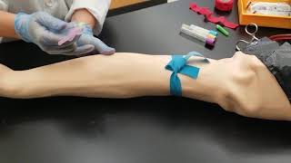 Phlebotomy Venipuncture Procedure [upl. by Samy42]