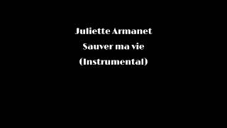 Juliette Armanet  Sauver ma vie Instrumental [upl. by Ophelie916]