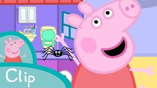 Peppa  La araña clip [upl. by Seaddon]