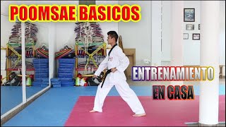 4 FORMAS BÁSICASTAEKWONDO [upl. by Imnubulo]