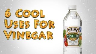 6 Cool Uses for Vinegar [upl. by Heigho]